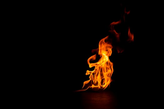 fire burning flame Isolated on a black background photo