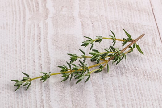 Aroma seasoning thyme stem with leaves photo