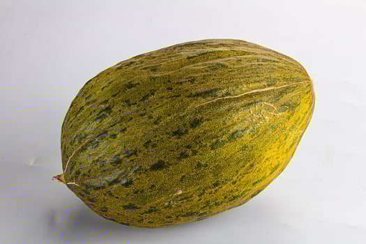 Spanish melon piel del sapo photo