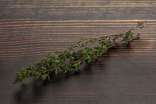 Thyme - aromatic seasoning herbal plant photo