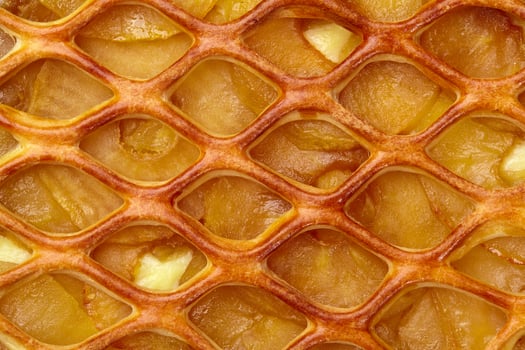 Macro shot of apple pie with custard and lattice top photo