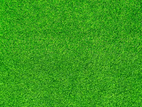 High-Quality Green Grass Texture Background Ideal for Sports Fields and Landscaping Projects photo