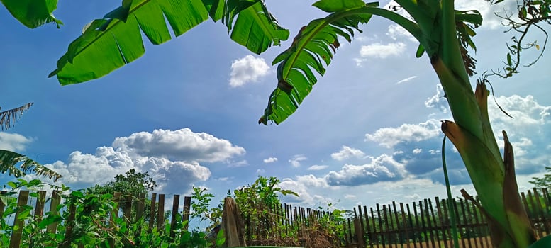 A beautiful and natural rural atmosphere, photo