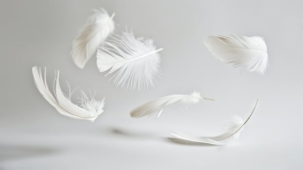 Boho chic feathers floating elegantly on a minimalist white surface photo