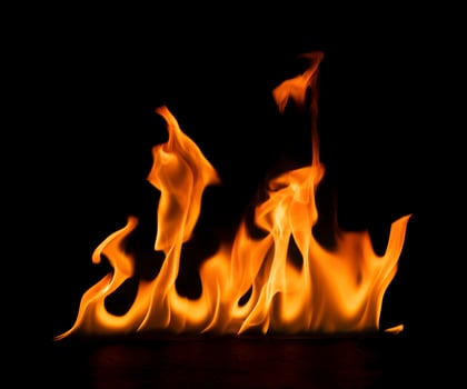 fire burning flame Isolated on a black background photo