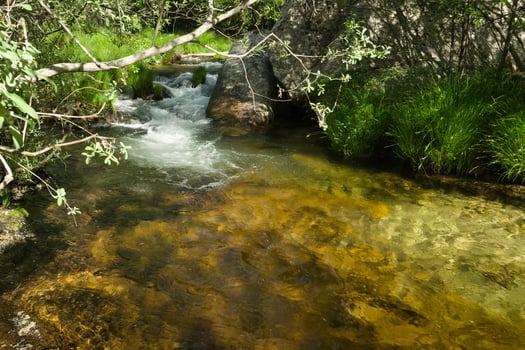 landscape, spring, view, river, plants, nature, water, transpare photo