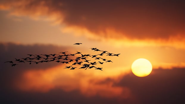 a flock of birds flying in the sky at sunset photo