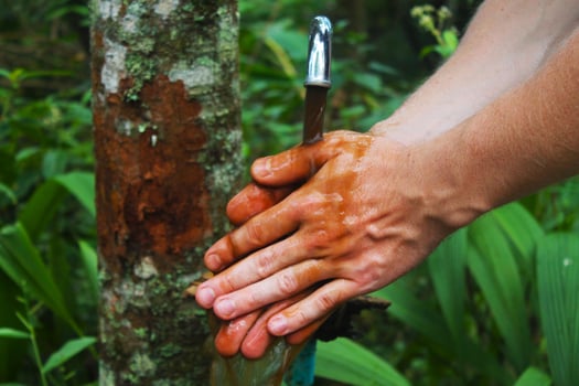 The man washing hands in extremely dirty water at campground near Chang Mai, Thailand photo