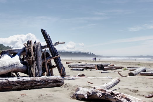 A shelter made from driftwood found on Long Beach near Tofino, Vancouver Island photo