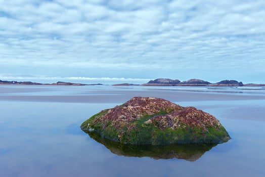 Beautiful Rock covered in seaweed found on the Long Beach near Tofino at early morning photo