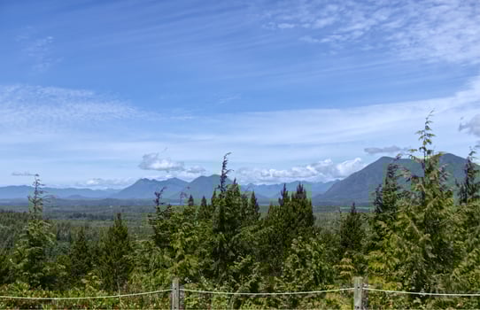 Scenic View of Canadian Mountain range surrounded by Forest found near Tofino, Vancouver Island photo