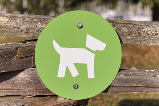 Isolated Street Sign Dogs off leash area in Vancouver, Canada at sunny Day photo