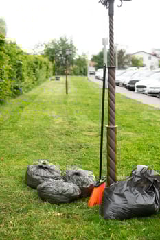Mowing the grass. Work on the territory, spring cleaning. Garden and lawn care. Cleaning mowed grass into black plastic bags. photo