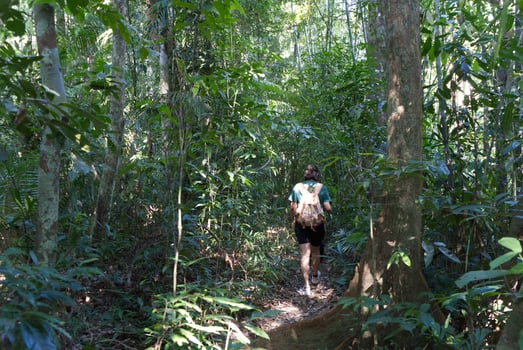 Surat Thani, Thailand - December 6, 2021 Hiking Woman Walk with a Backpack in Green Forest in Khao Sok National Park photo