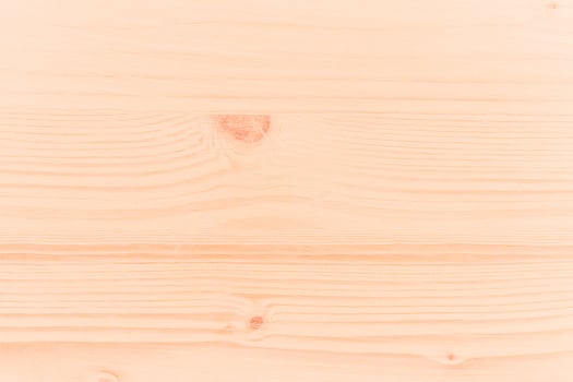 Light Wood Texture. Natural Wooden Background. photo