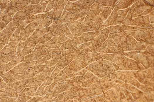 Coconut Nut Fibers Surface Texture. Natural Tropical Background. Macro Closeup. photo