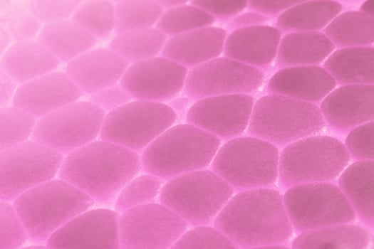 Pink White Foam Plastic Texture photo