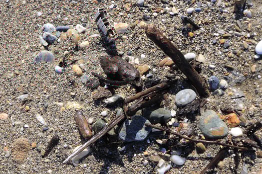 Weathered garbage on the beach. photo