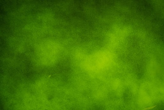 Green Wall Surface Texture photo