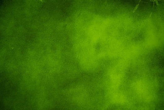 Green Wall Surface Texture photo