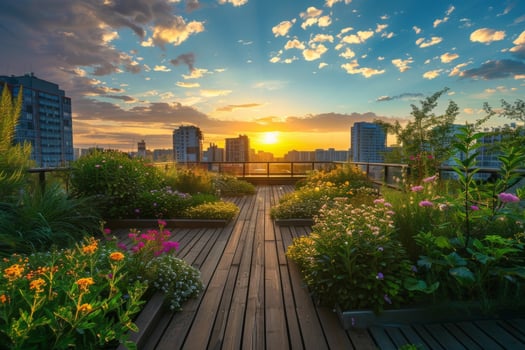 Urban Rooftop Garden at Sunset photo