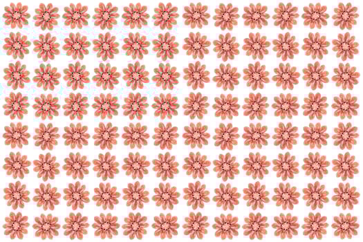 Cooked prawns snack pattern. Isolated boiled shrimps background. photo