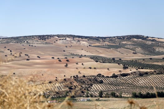 sightseeing in the area of Periana, Spain photo