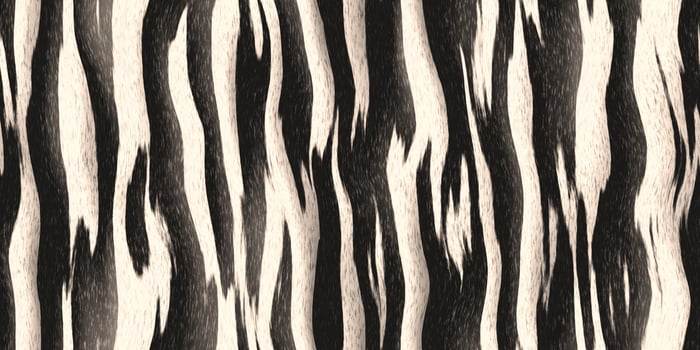 Seamless zebra fur textures. Black and white striped hairy background. Fluffy stripe monochrome pattern. photo
