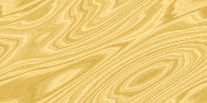 Ash Wood Seamless Texture photo
