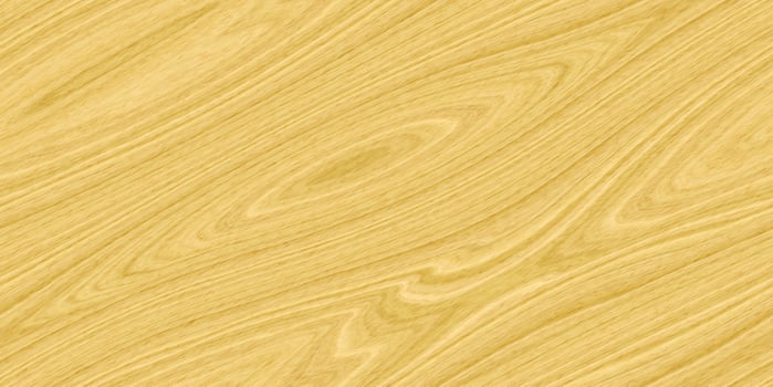Ash Wood Seamless Texture photo