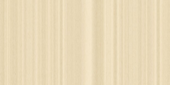Maple Wood Seamless Texture. Vertical across tree fibers direction. photo