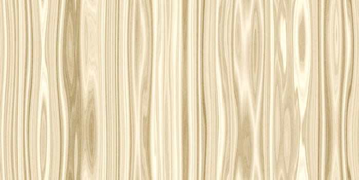 Maple Wood Seamless Texture. Vertical across tree fibers direction. photo