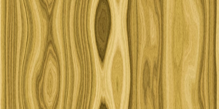 Oak Wood Seamless Background Texture. Vertical across fibers orientation. photo