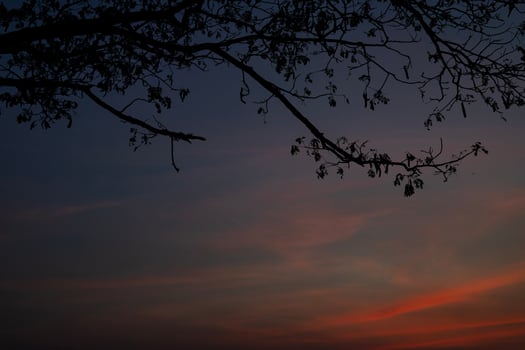 Sunset Sky Clouds In The Evening photo
