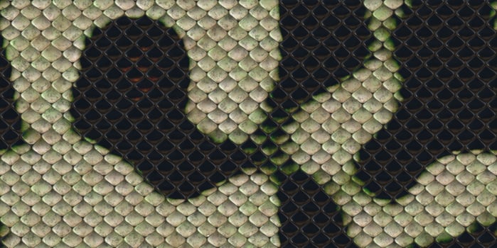 Black and white snake Leather Textures. Reptile skin background. Reptilian scale pattern. Snakeskin surface. Dangerous wildlife backdrop. photo