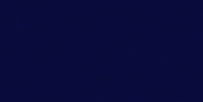 Navy blue seamless leather texture. Skin background. Leathern surface. photo