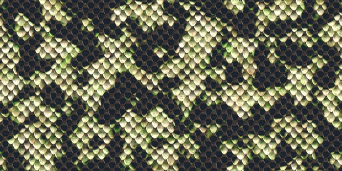 Black and white reptilian scale pattern. Snakeskin surface. Dangerous wildlife backdrop. Snake leather seamless textures. Reptile skin background. photo