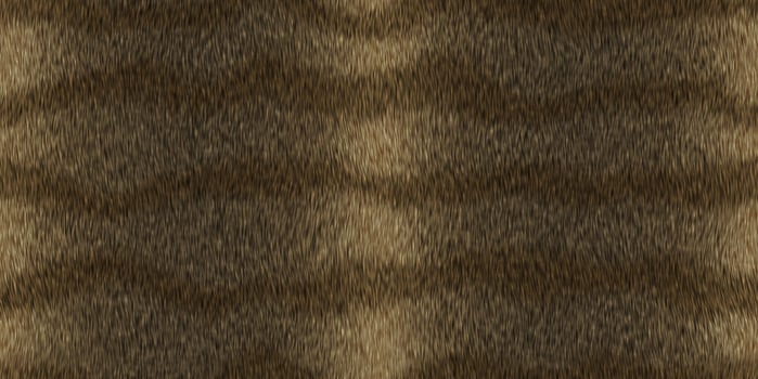 Lion fuzzy fashion creative. Wool texture. Fur background. Warm surface. Hairy pattern. Furry backdrop. Wild animal design. photo