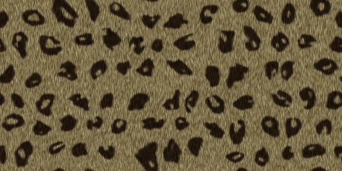 Leopard furry backdrop. Wild animal design. Fuzzy fashion creative. Wool texture. Fur background. photo