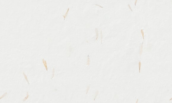 Yellow Petals Paper Texture. Floral Decorative Natural Chinese Fibers Background. Seamless Transition. photo