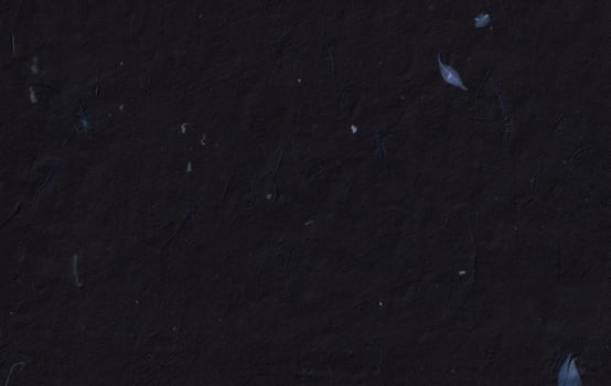 Natural chinese floral decorative black paper texture photo