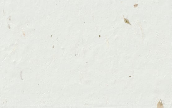 Natural japanese floral decorative style paper texture. photo