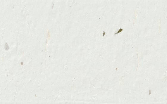 Natural japanese floral decorative style paper texture. photo