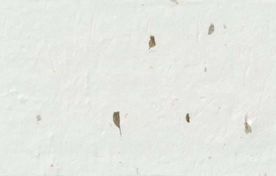 Natural japanese floral decorative style paper texture. photo