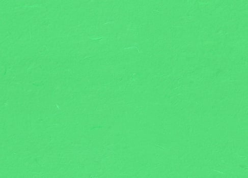 Handmade Rice Paper Texture. Emerald, Pastel Green Color. Seamless Transition. Scrapbook Paper Design Background. photo