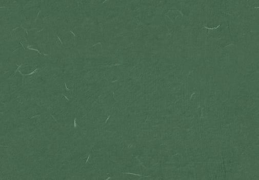 Seamless Decorative Rice Paper Texture for the Background. Mineral Green, Plantation, Stromboli, Goblin Color. photo