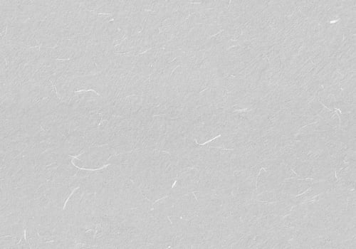 Handmade Rice Paper Texture. Light Grey, Silver, Gainsboro Color. Seamless Transition. Creative Digital Paper for the Creation Background. photo