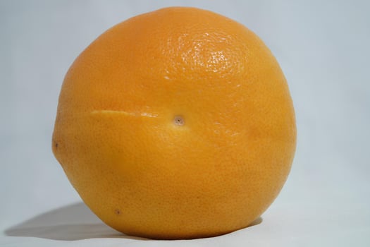 Single Orange on White Background photo