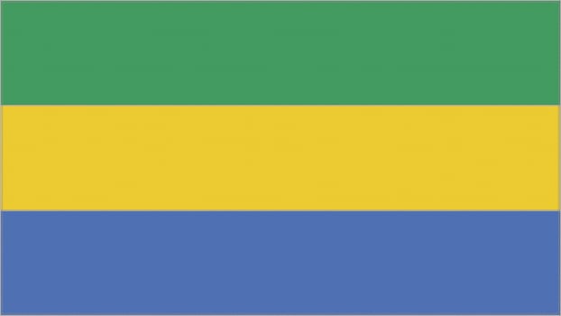 Gabon embroidery flag. Gabonese emblem stitched fabric. Embroidered coat of arms. Country symbol textile background. photo