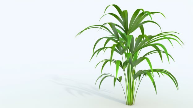 A green leafed plant peacefully sits on a minimalist clean white surface photo